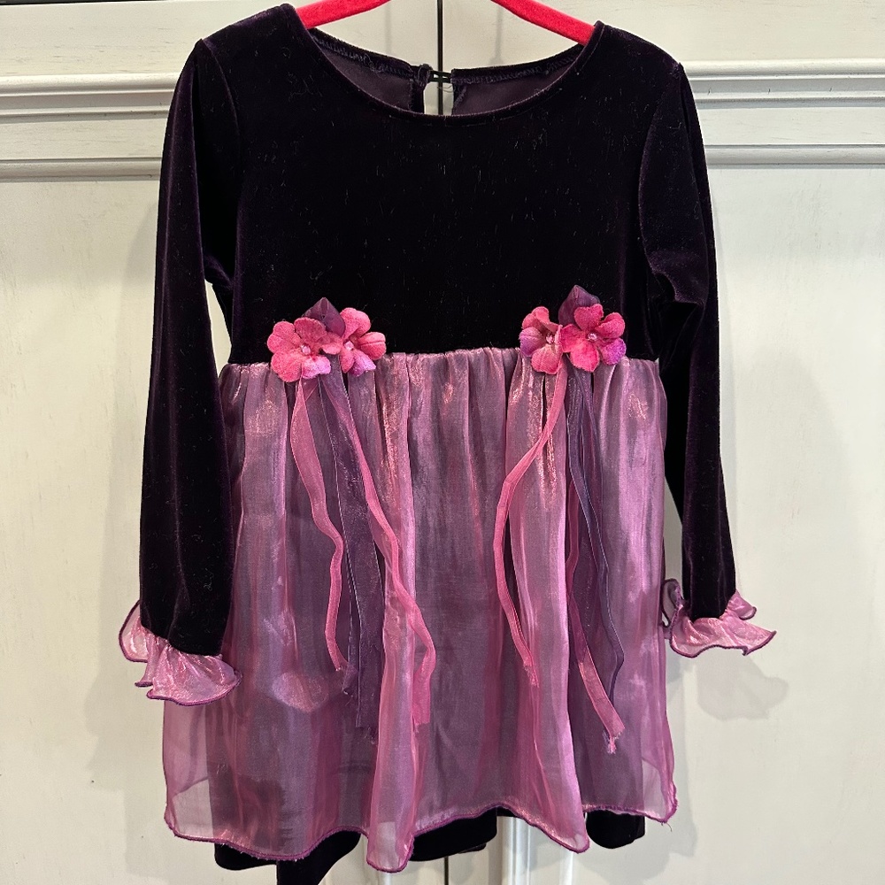 Three wishes Dress - Girl Toddler Size 2T - Velvet Dress
